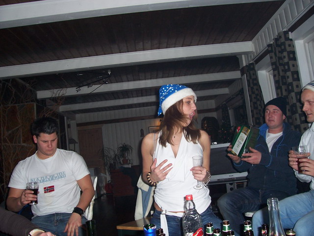 Swedish party babes VII — 27