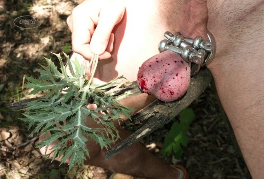 Cock and Ball Play — 20