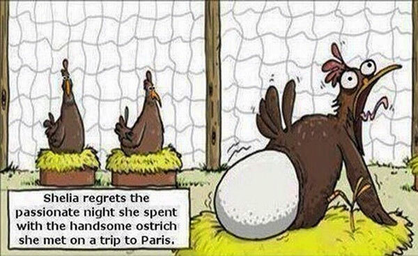 Sexy and Funny Toons Collection — 16