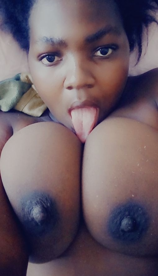 african dykes — 8