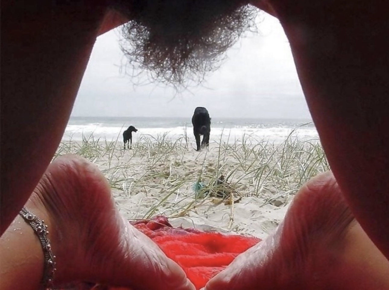 My Favorite Hairy Pussies #34 — 42